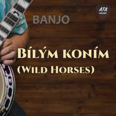 Banjo – Bílým koním (Wild Horses)