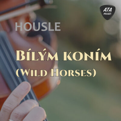 Housle – Bílým koním (Wild Horses)