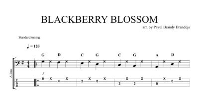 Blackberry Blossom (intermediate) - Image 2