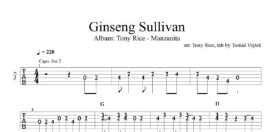 Ginseng Sullivan - Image 2