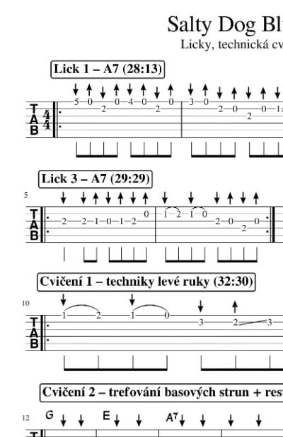 Kytara – Salty Dog Blues (A tak já zas v tom lítám) - Image 7