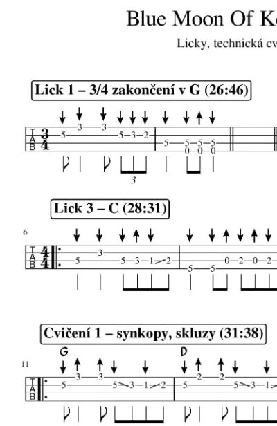 Mandolína – Blue Moon Of Kentucky (Modrý měsíc) - Image 9